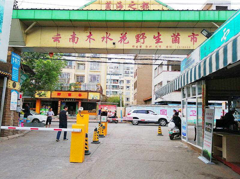 車(chē)牌識(shí)別系統(tǒng),車(chē)牌識(shí)別系統(tǒng)廠家,車(chē)牌識(shí)別系統(tǒng)價(jià)格